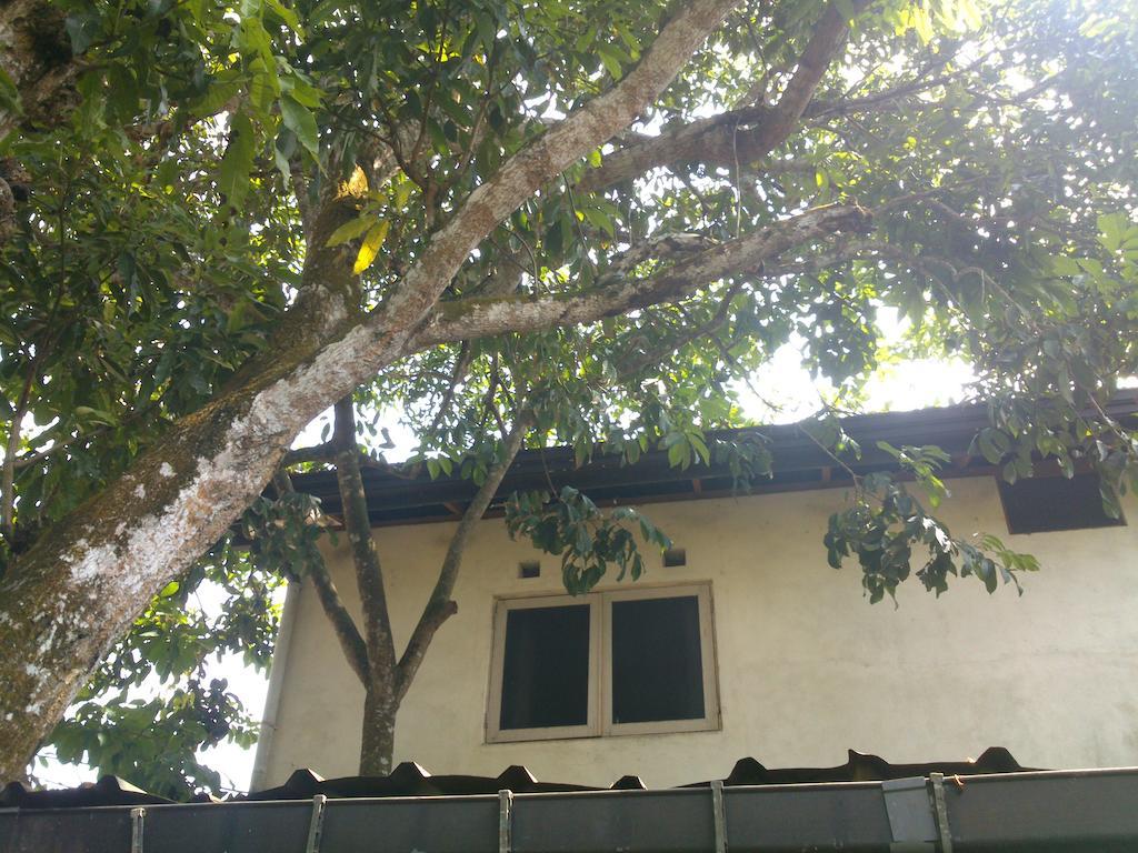 Anne'S Maisonnette Galle Ngoại thất bức ảnh
