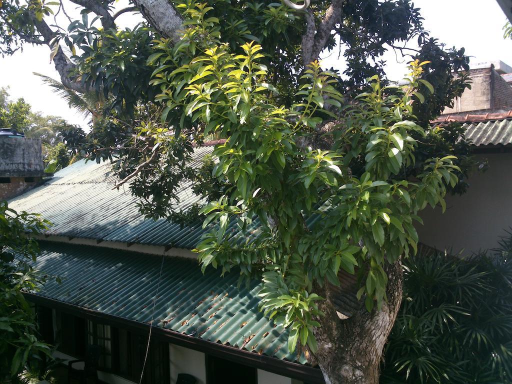 Anne'S Maisonnette Galle Ngoại thất bức ảnh