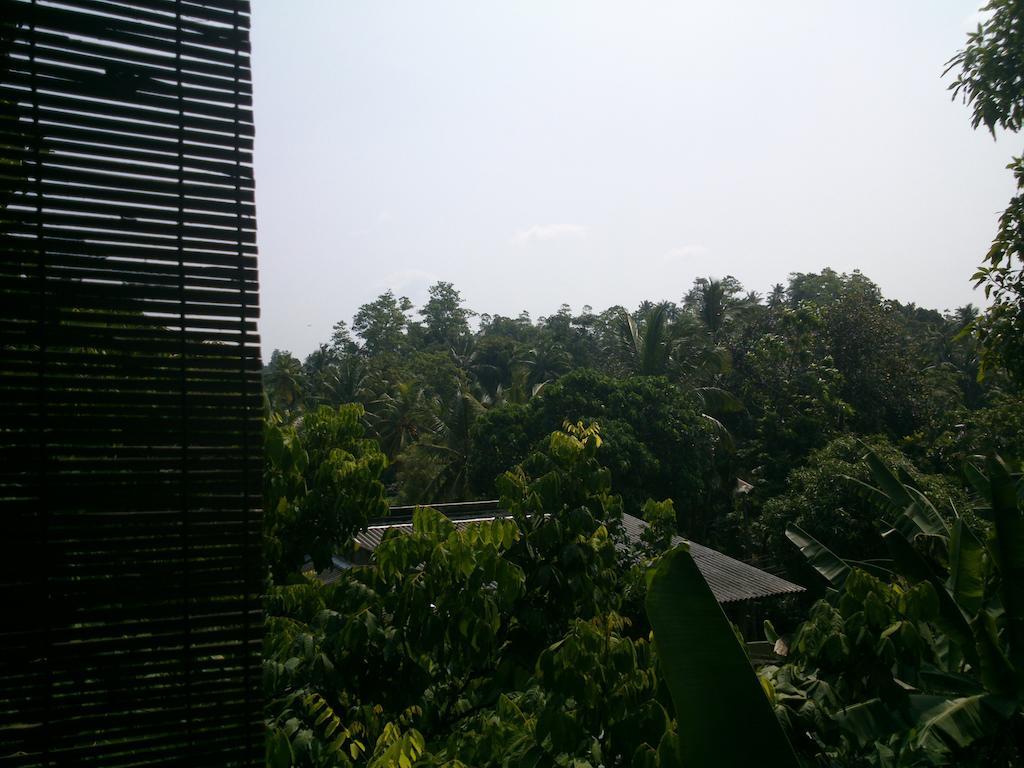 Anne'S Maisonnette Galle Ngoại thất bức ảnh