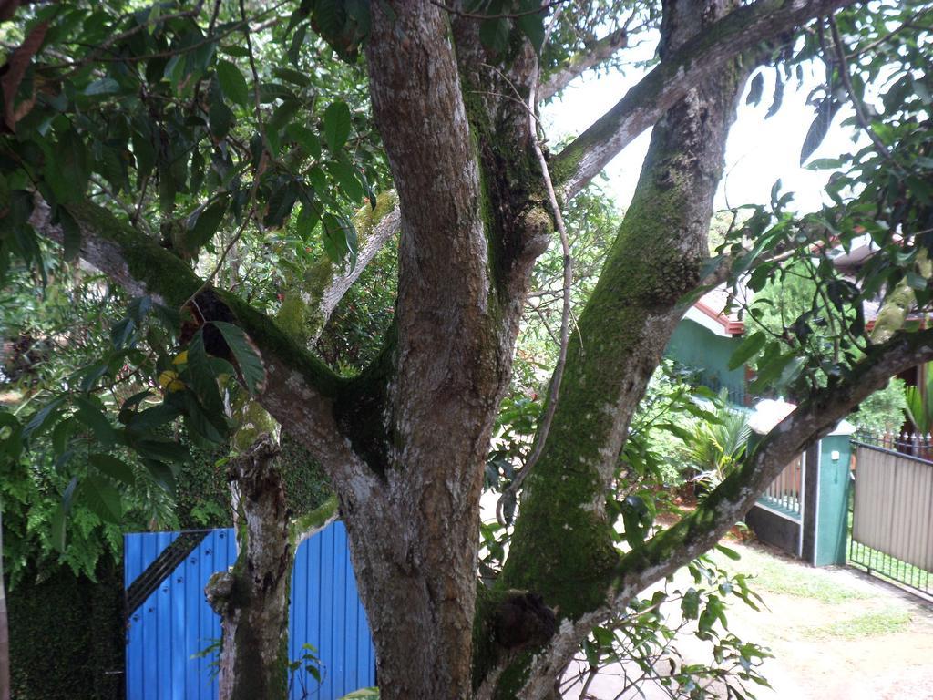 Anne'S Maisonnette Galle Ngoại thất bức ảnh