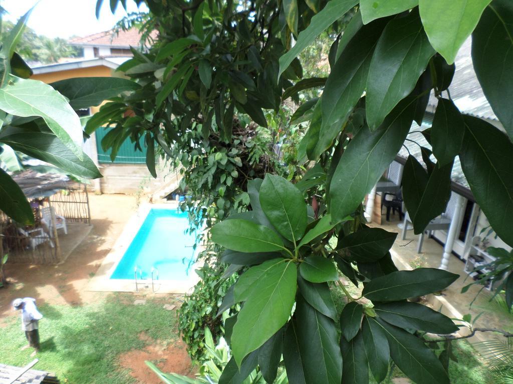 Anne'S Maisonnette Galle Ngoại thất bức ảnh