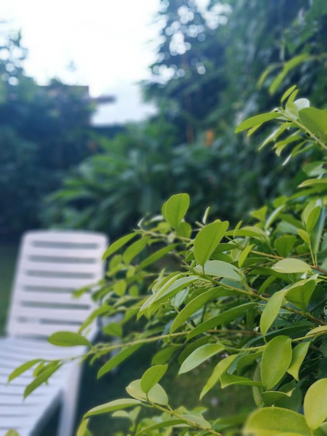 Anne'S Maisonnette Galle Ngoại thất bức ảnh